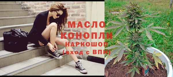 индика Абдулино