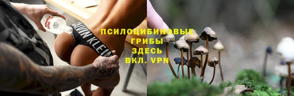 эйфоретик Абинск