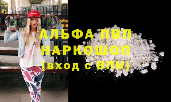 стафф Алексин